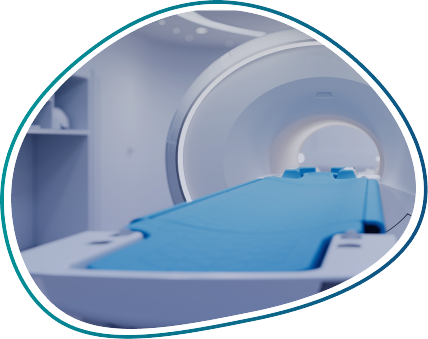 Platform for Automated MRI Data Analysis System