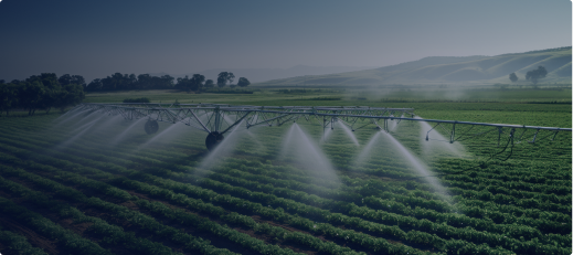 Agritech Solutions for Data-Driven Farming