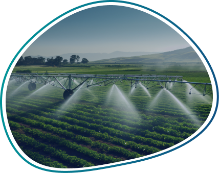 Agritech Solutions for Data-Driven Farming